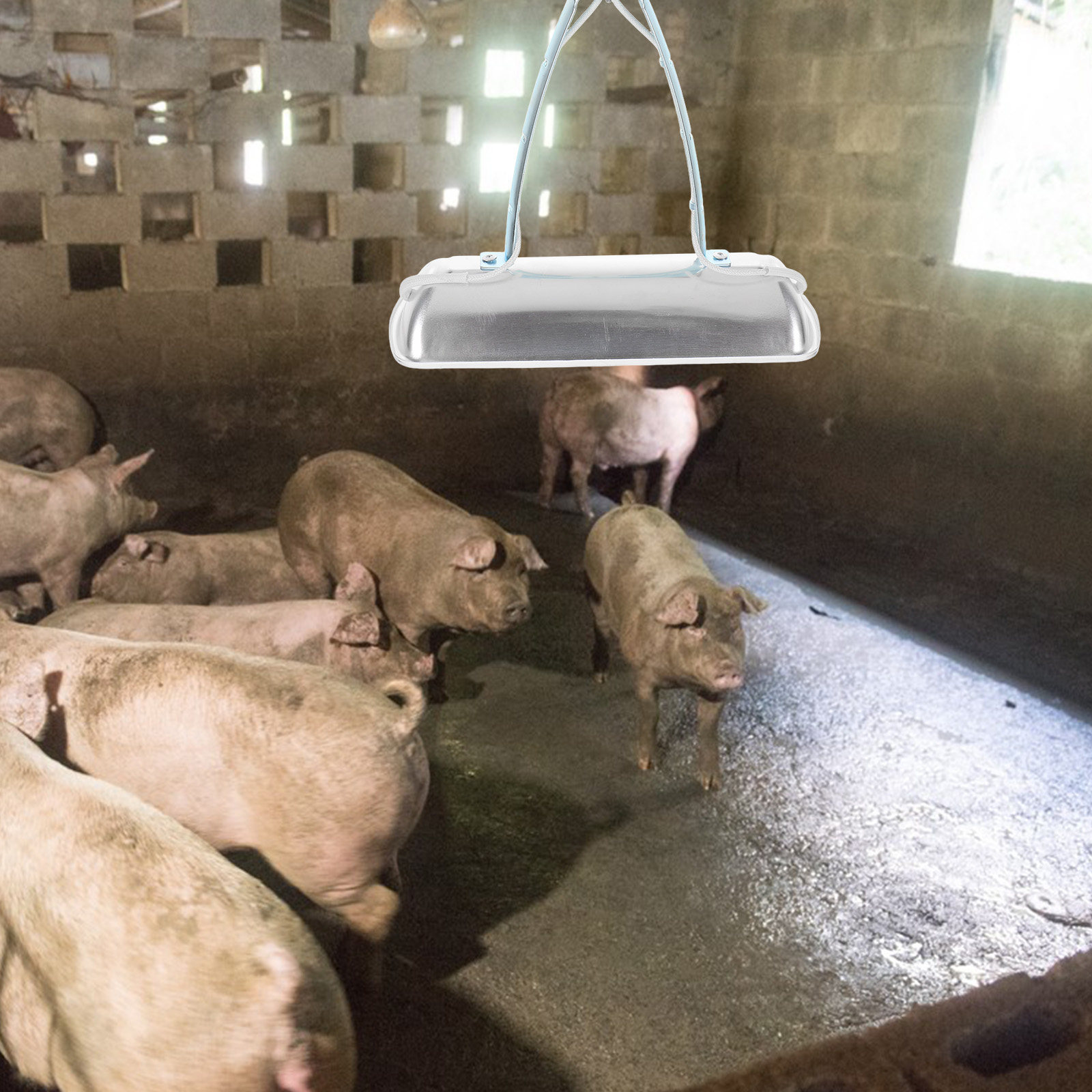 Farming & Agriculture Word Stacks - Lampa do ochrony trzody chlewnej, grzejnik