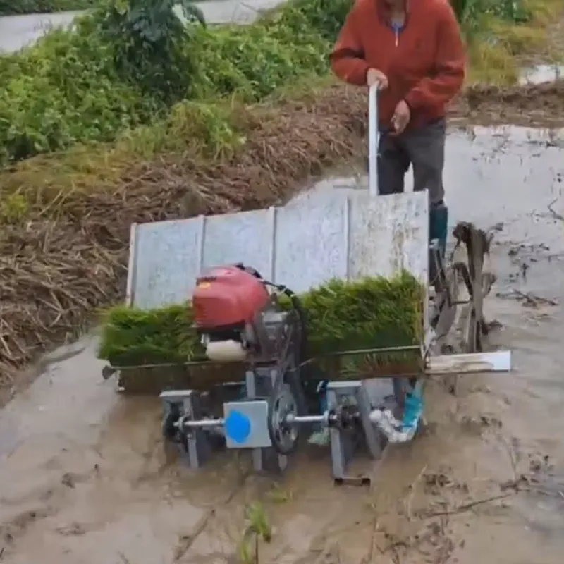 Ręczna siewarka do ryżu/rozsie – Agriculture Farming Rice recenzja i cena